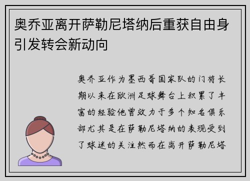 奥乔亚离开萨勒尼塔纳后重获自由身引发转会新动向 奥乔亚离开萨勒尼塔纳后重获自由身引发转会新动向